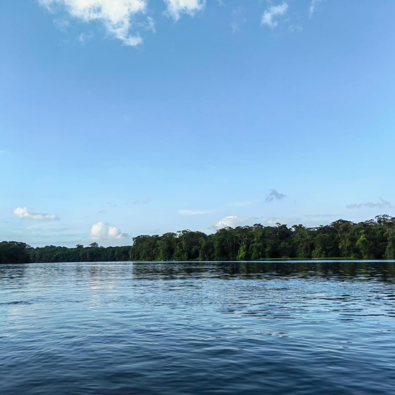 Tortuguero Villas Экстерьер фото