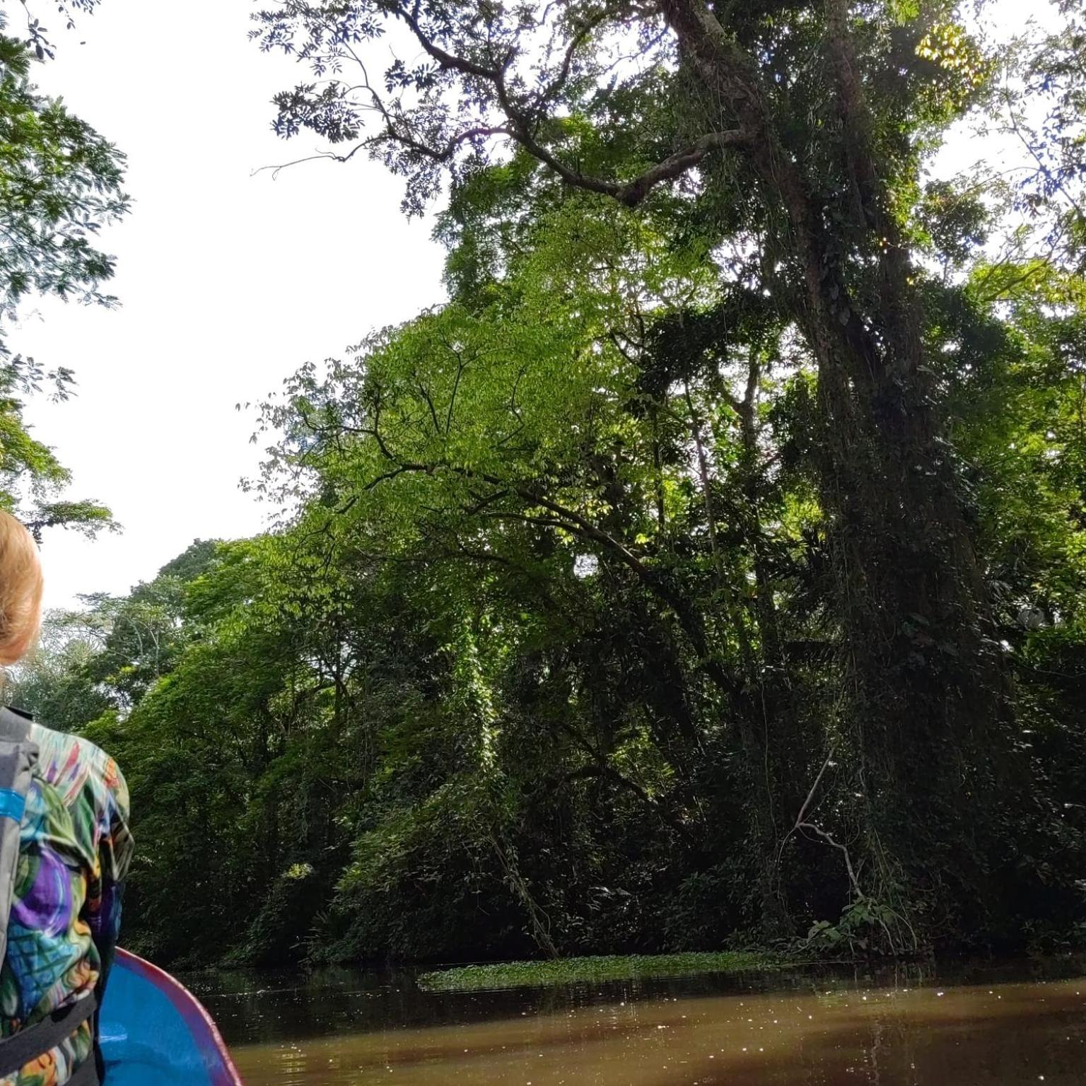 Tortuguero Villas Экстерьер фото