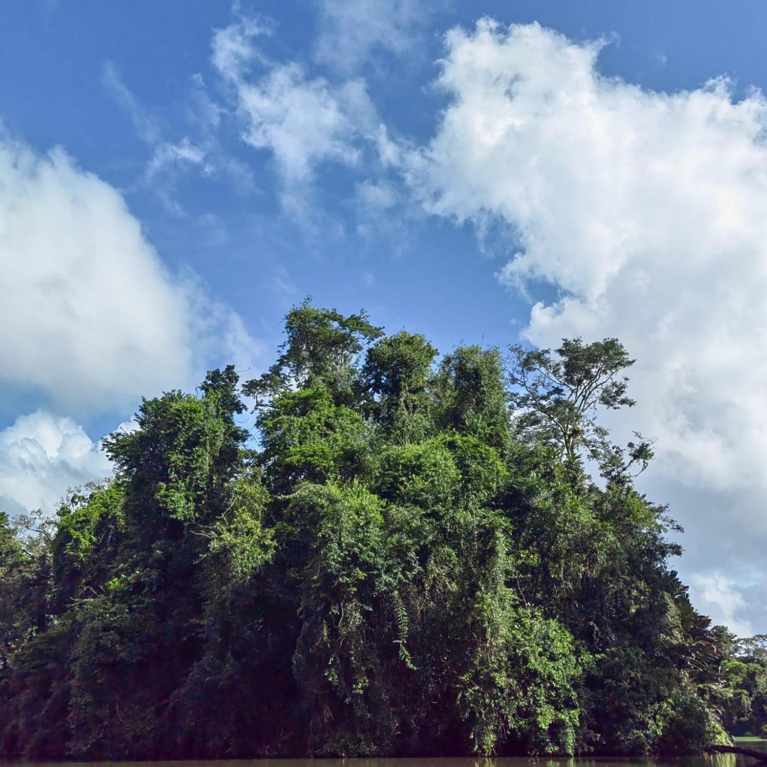 Tortuguero Villas Экстерьер фото