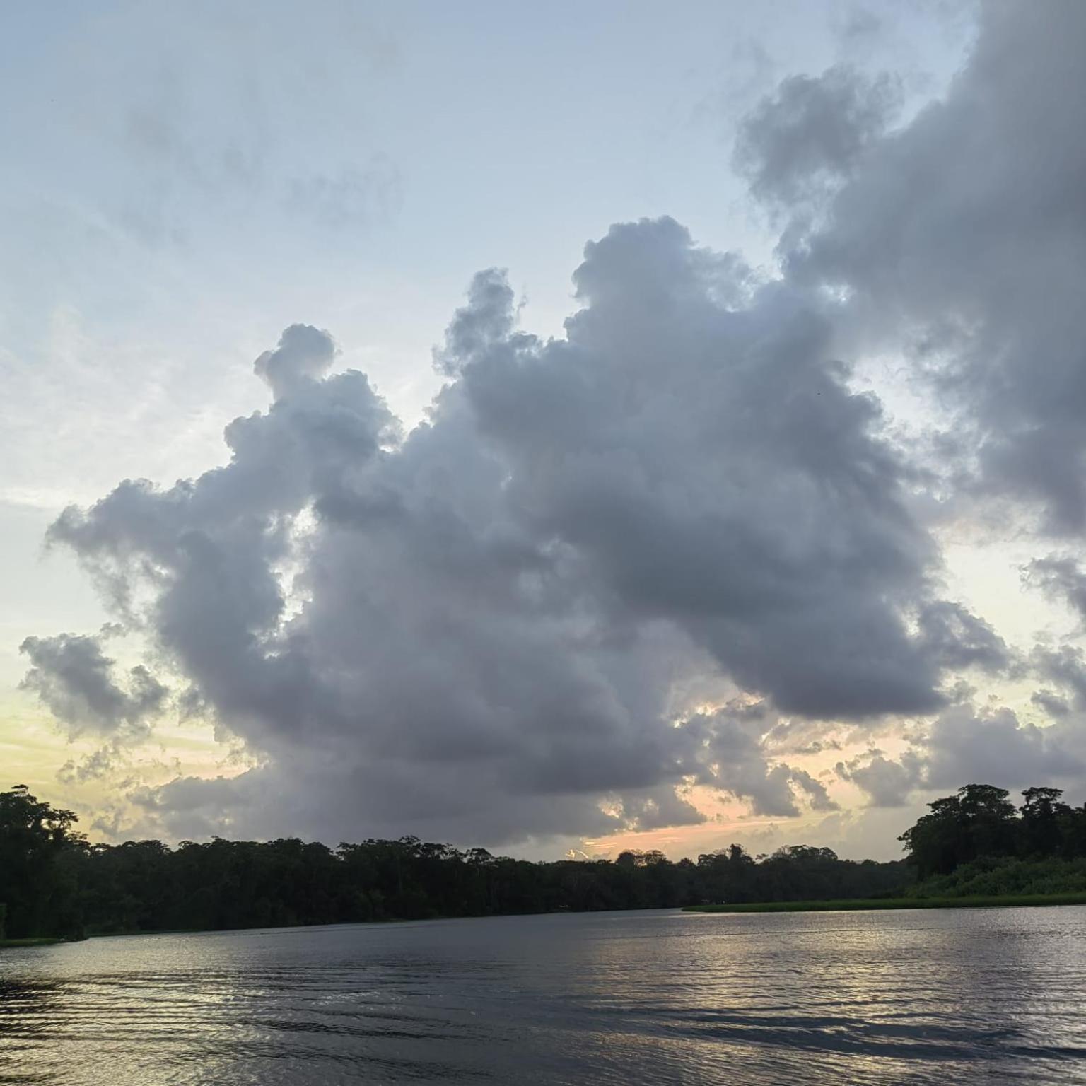 Tortuguero Villas Экстерьер фото