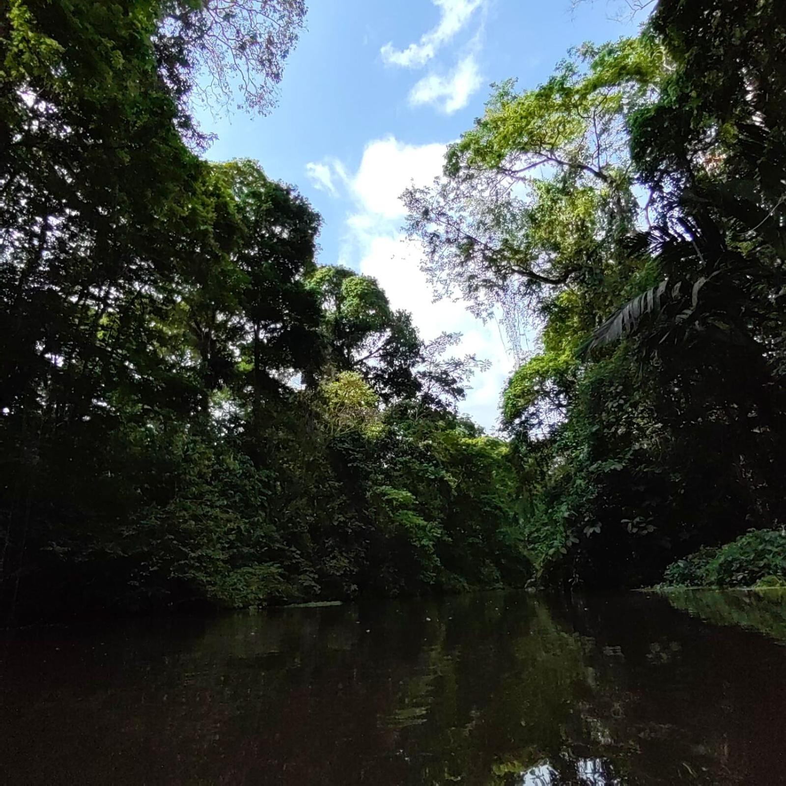Tortuguero Villas Экстерьер фото